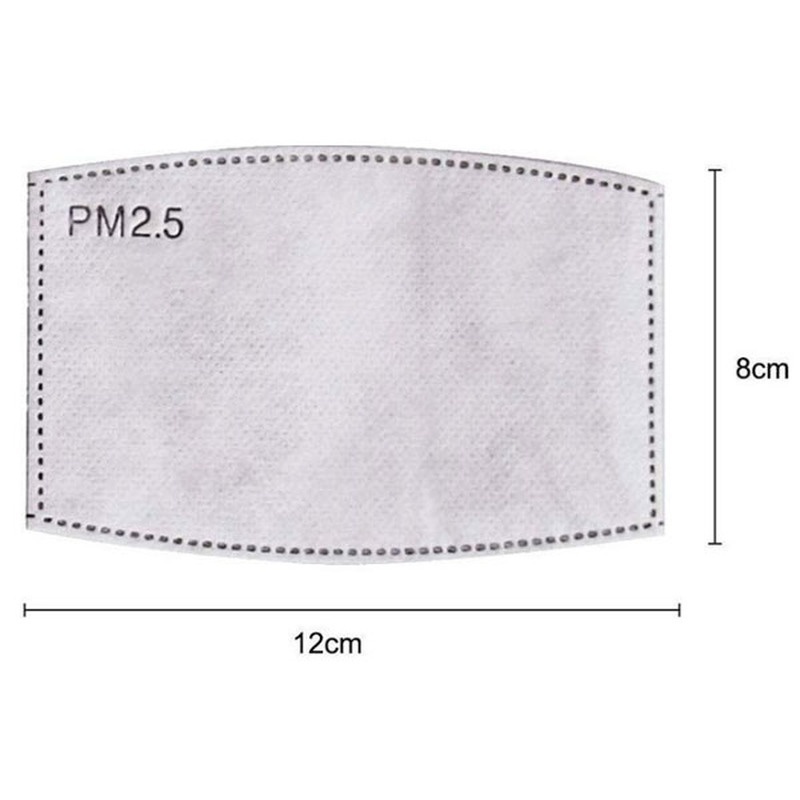 2PCS Mask Filter Element PM2.5 - Pm2.5 Filter Insert ulasan dan harga